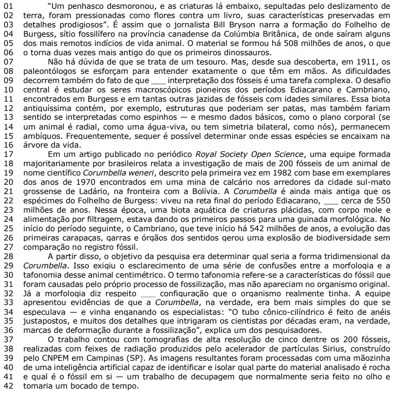 Captura_de tela 2025-11-05 084330.png (814×804)