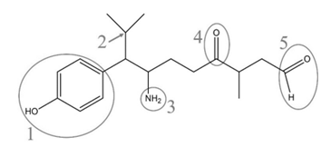 Q54_56.png (354×162)