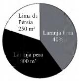imagem-006.jpg